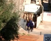 بالفيديو: مجموعة من المستوطنين تتفقد البناء على ارض السوق بحي العجمي في يافا